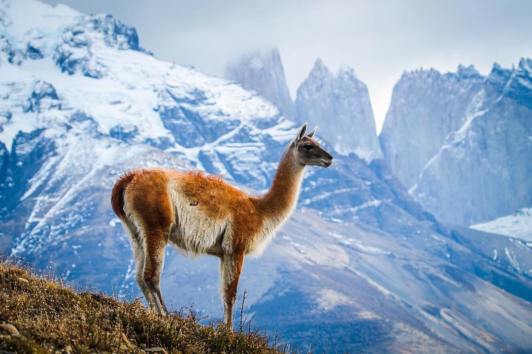 Trekking en Torres del paine