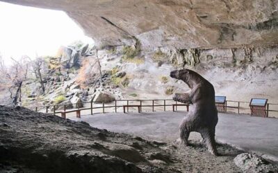 La visita a la Cueva del Milodon